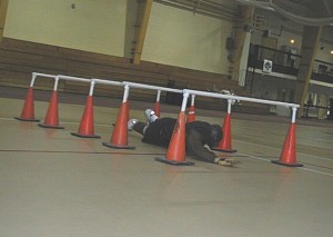 lowcrawl
